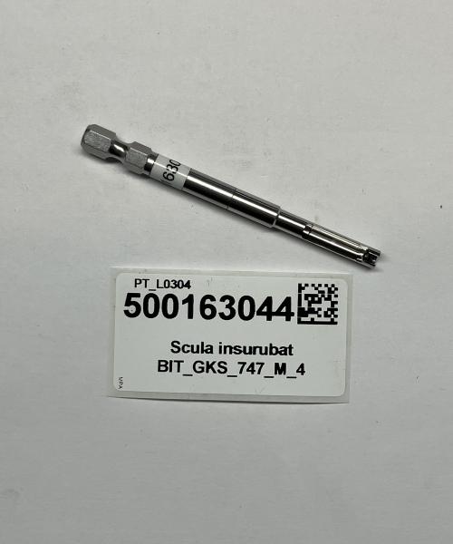 Scula insurubat BIT_GKS_747_M_4