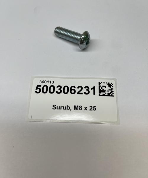 Surub, M8 x 25