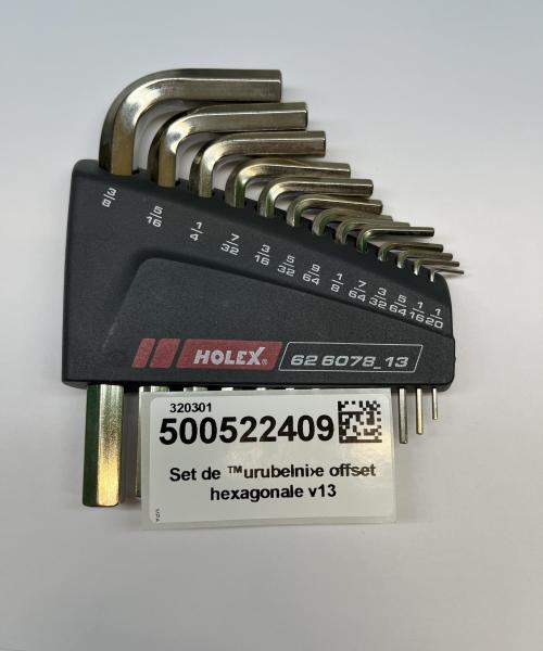 Set de șurubelnițe offset hexagonale v13