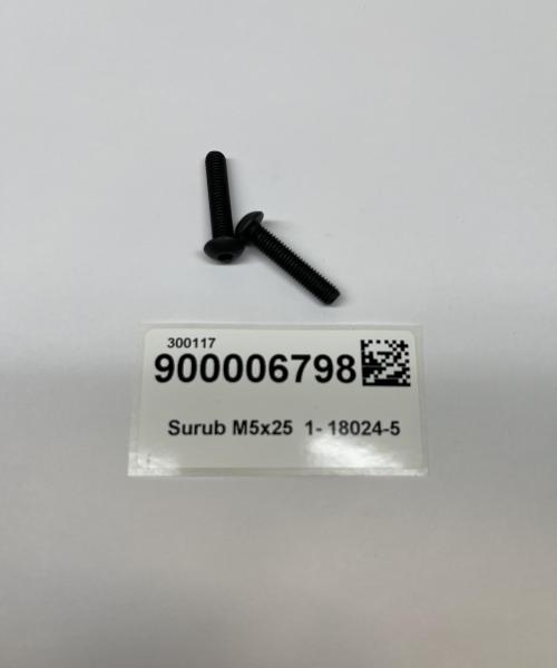 Surub M5x25  1- 18024-5