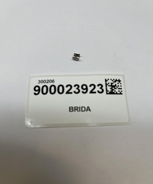 BRIDA