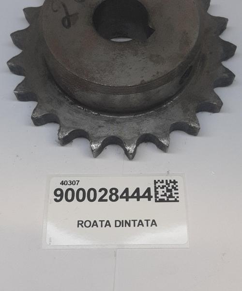 Roata dintata
