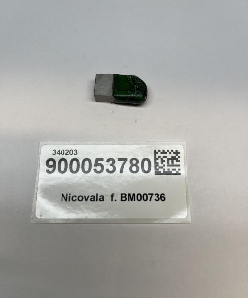 Nicovala  f. BM00736